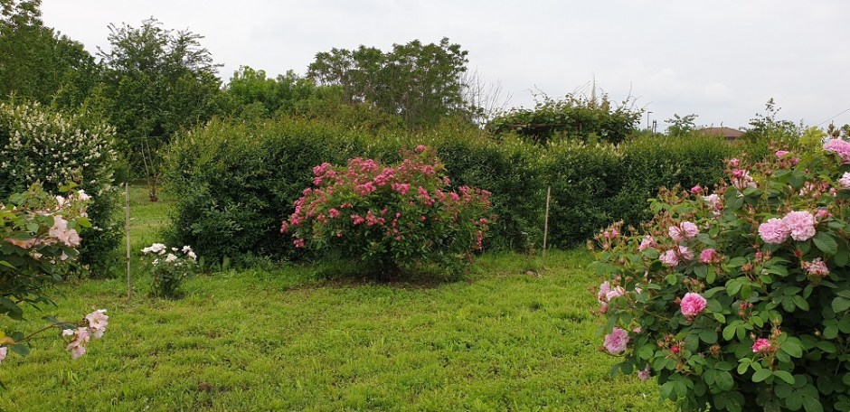 COSA FARE NEL WEEK END - IL BISCHETTO DELLE LEPRI