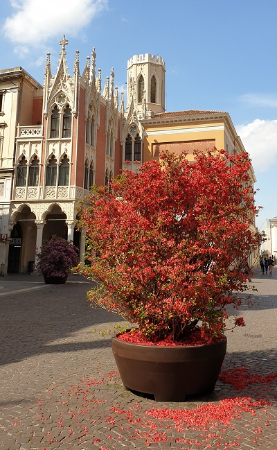 Caffè Pedrocchi Padova