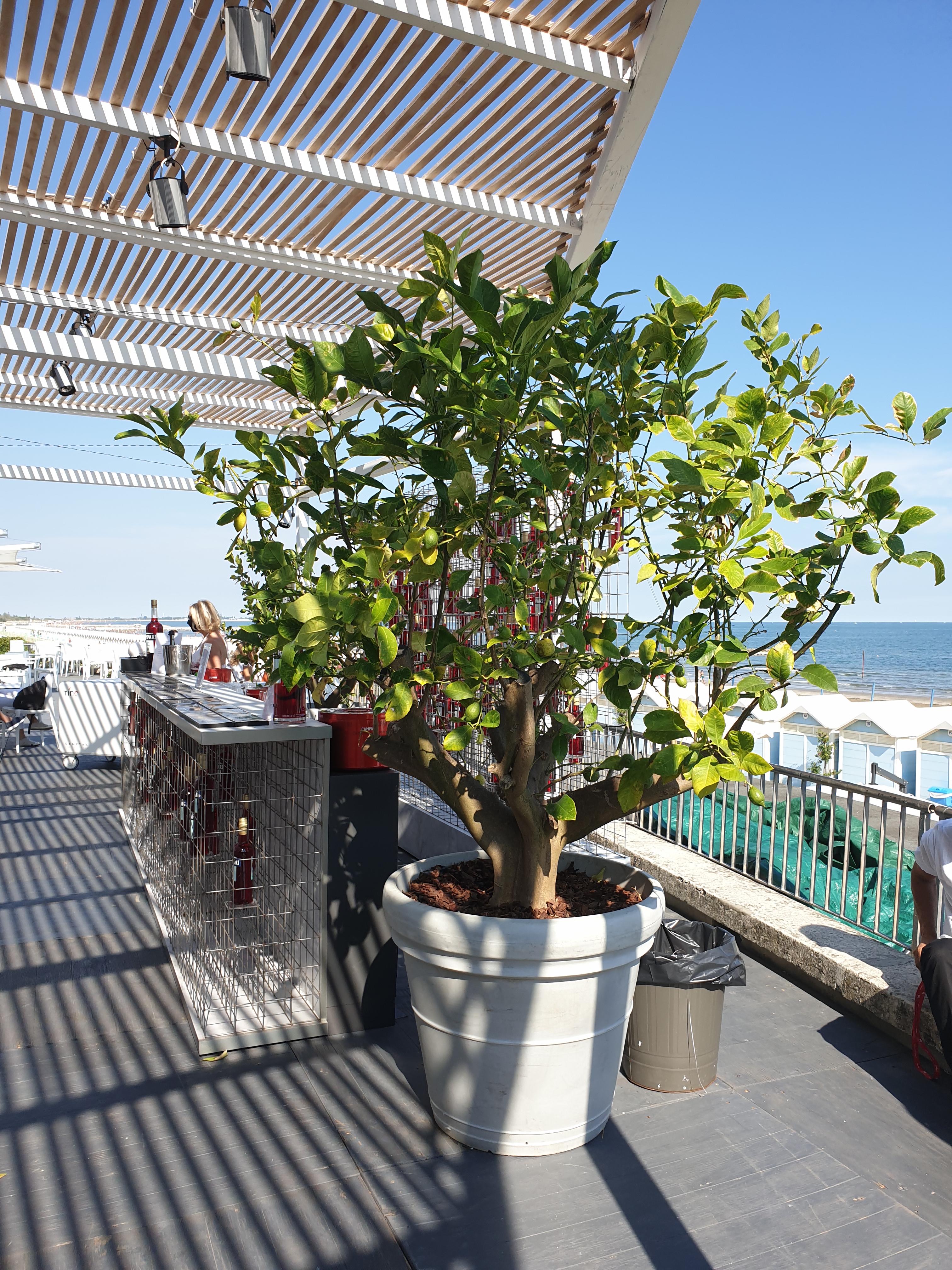 Mostra del Cinema di Venezia - 77' edizione