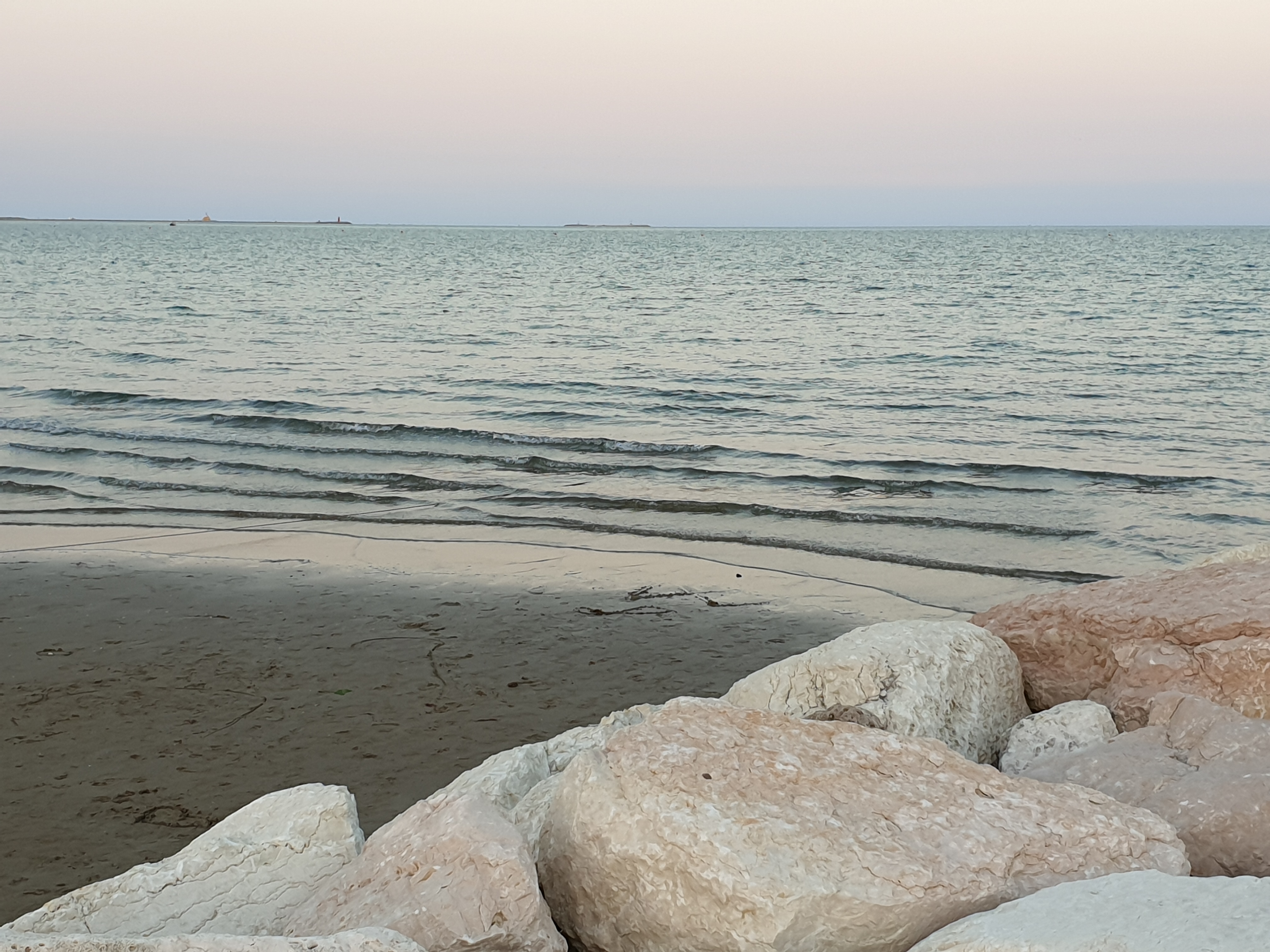 Mostra del Cinema di Venezia - 77' edizione