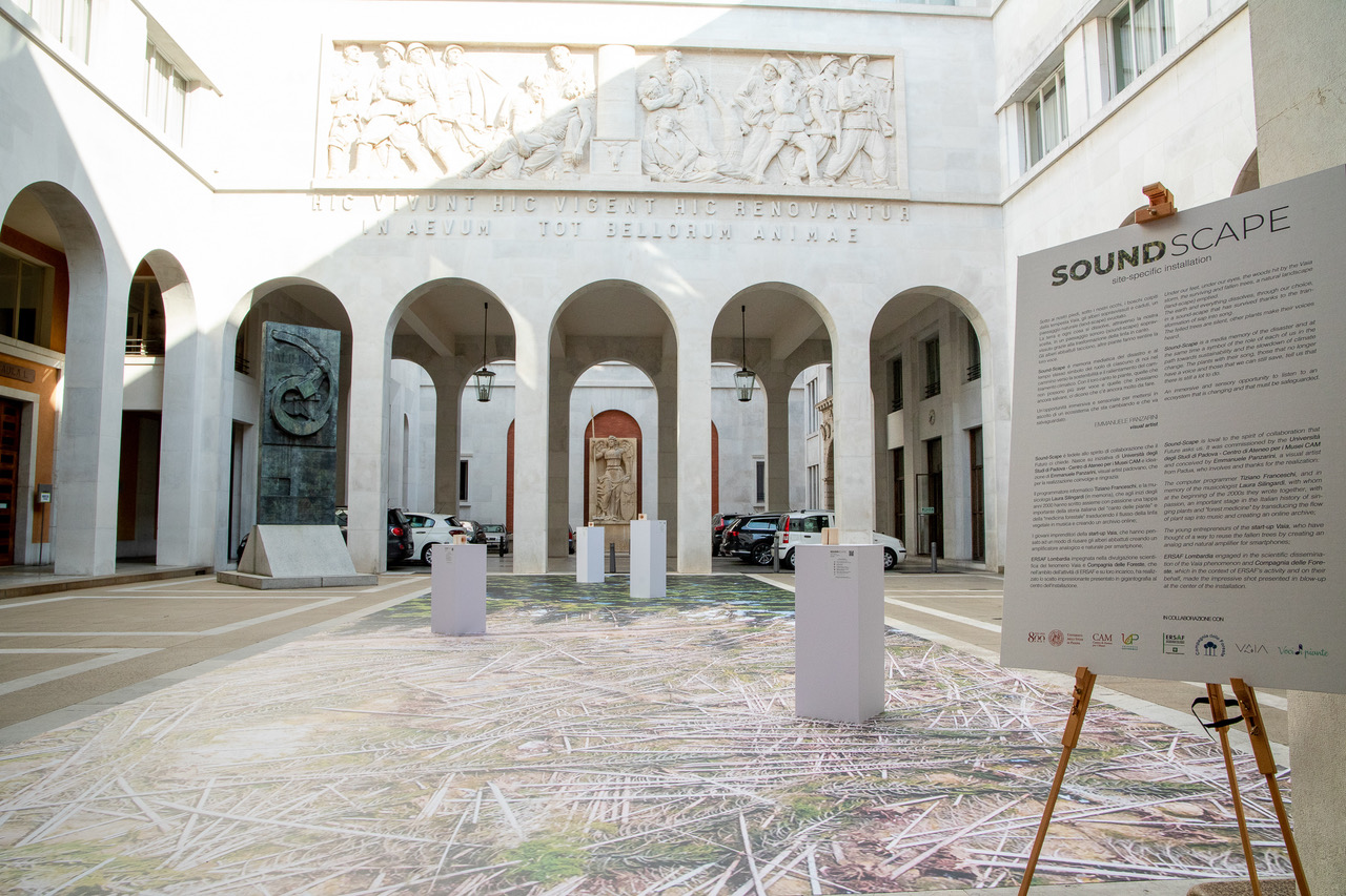 Foto credit Federico Milanesi