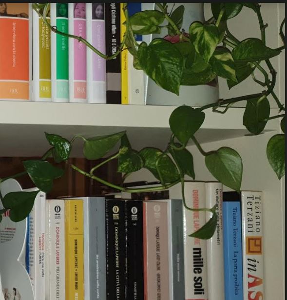 Libro di carta o digitale?