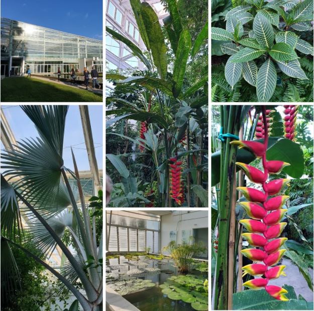 Il giardino della biodiversità 2014