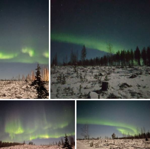 Rovaniemi - l'aurora boreale