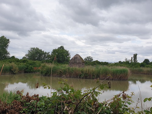 Birdwatching al delta del Po