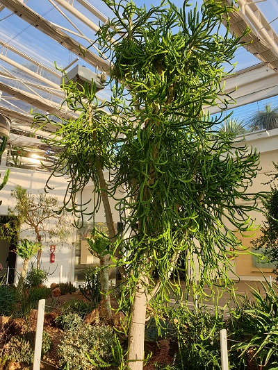 Ortobotanico di Padova