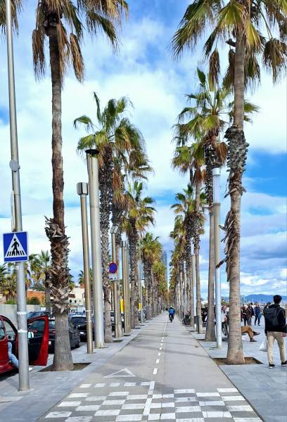 LA BARCELONETA