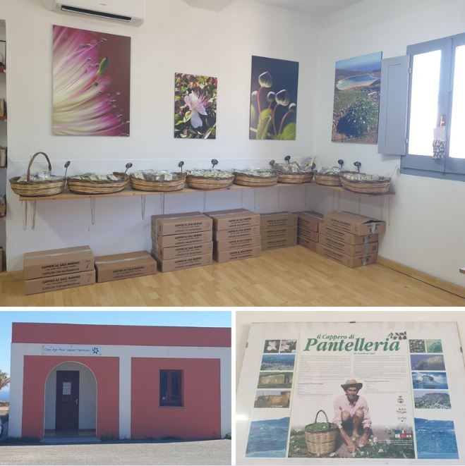 Capperificio in località Tre Pietre